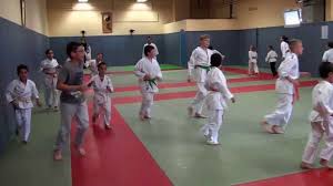 Lire la suite à propos de l’article KARATE 2024/2025